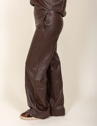 Moscow broek bruin
