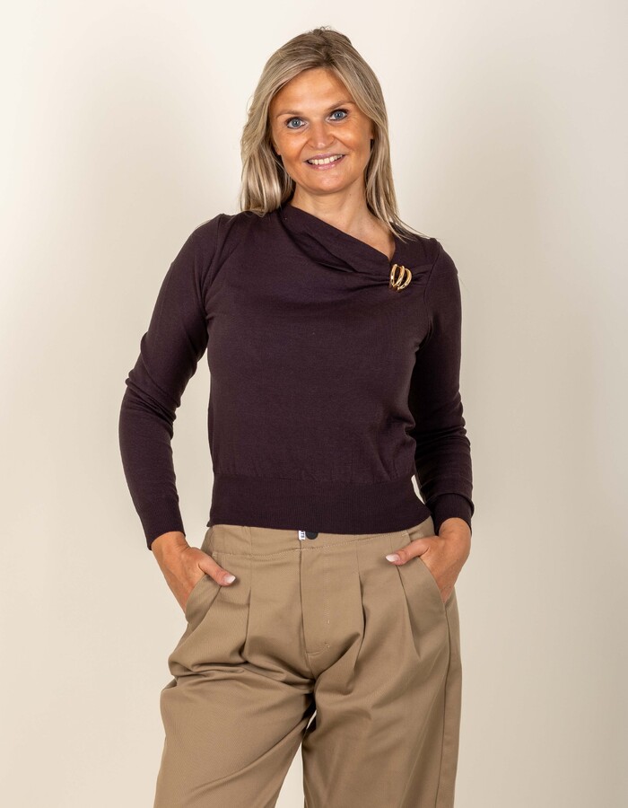 Rinascimento pull bruin