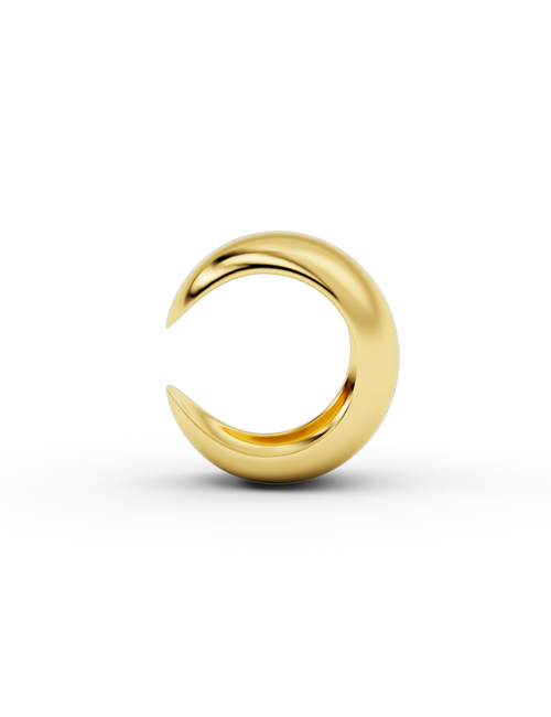 Ara earcuff
