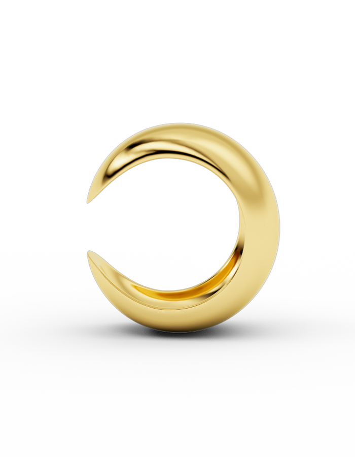 Ara earcuff
