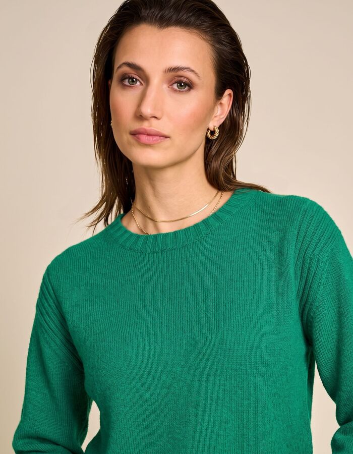 Adour - pull en maille fine à col rond vert