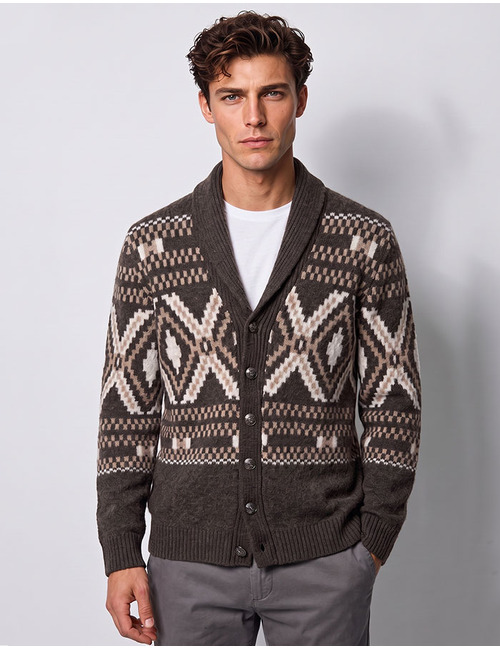 Mouliné jacquard cardigan met etnisch patroon bruin