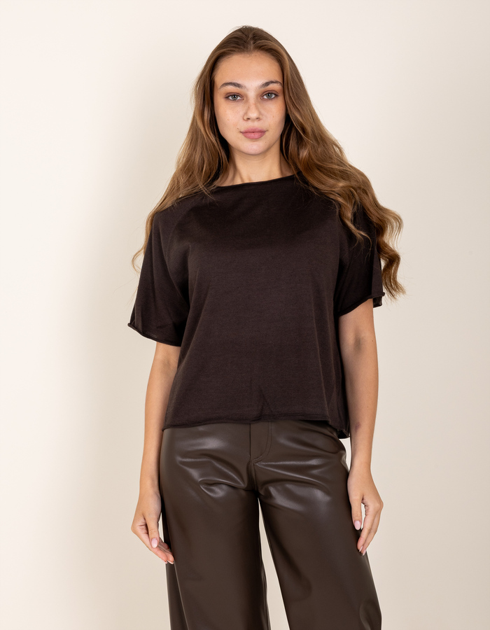 Drykorn korte mouw pull bruin