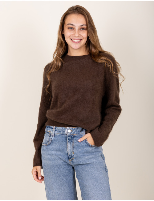 Moscow pull bruin