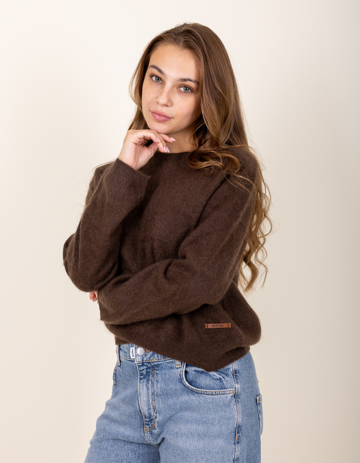 Moscow pull bruin