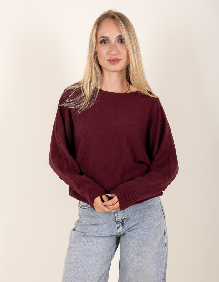 Beau Et Lou pull met v-hals bordeaux