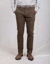 Mason's chino bruin