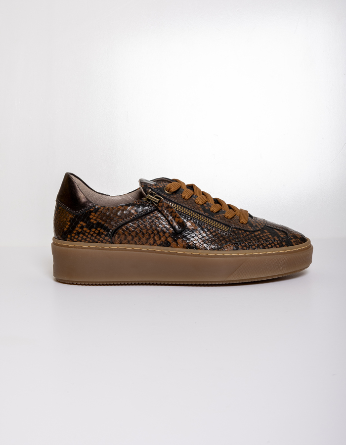 Dlsport sneaker bruin