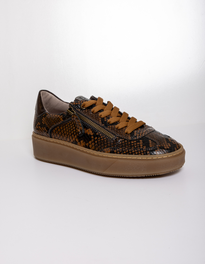 Dlsport sneaker bruin
