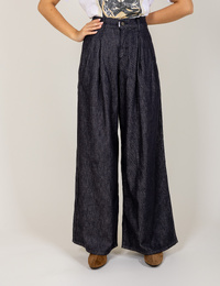 Pnts broek blauw