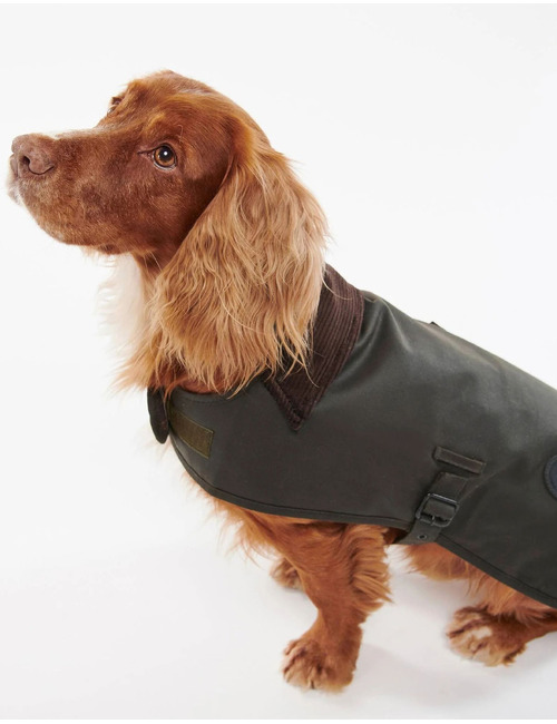 Waxed Dog Coat hondenjas in gewaxt katoen olive
