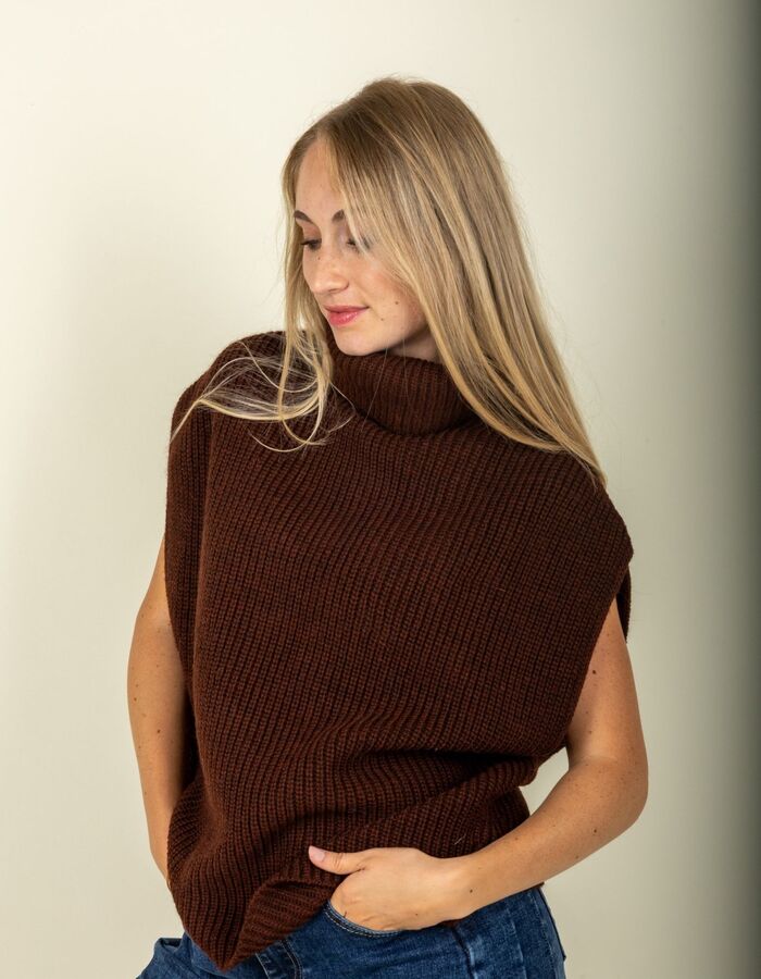 Amelie Amelie pull bruin