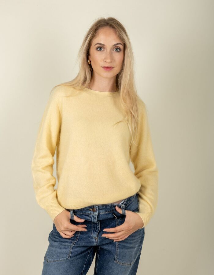 Esthème O. pull geel