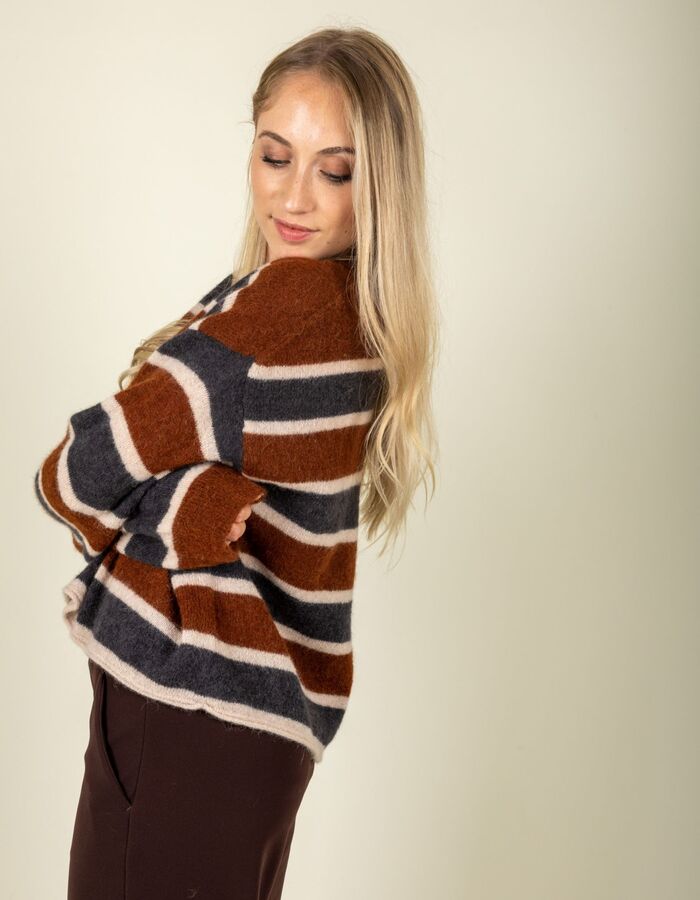 Drykorn lange mouw pull bruin